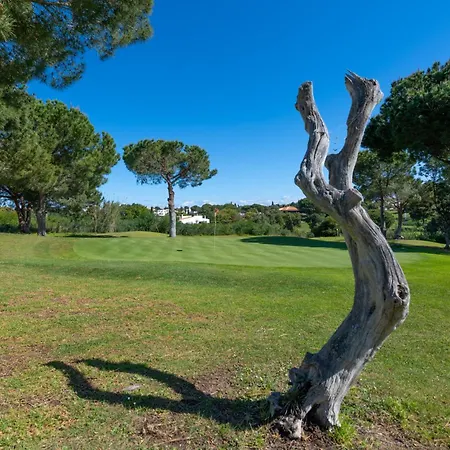Balaia Golf Vilage 5 With Pool By Homing * אלבופיירה